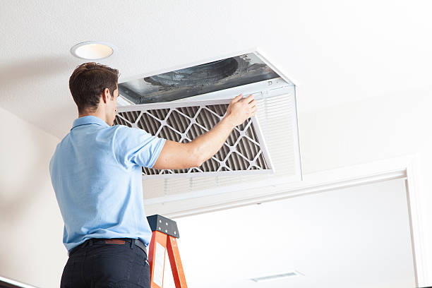 Best HVAC Companies Near Me  in Shadyside, OH